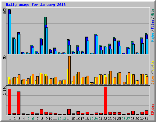 Daily usage for January 2013