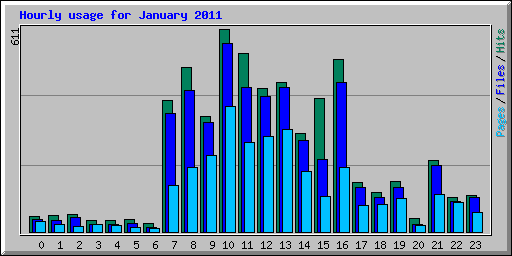 Hourly usage for January 2011