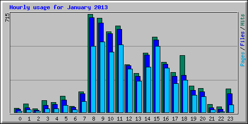 Hourly usage for January 2013